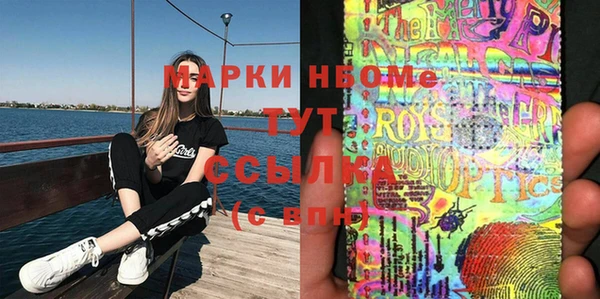 мдпв Гусь-Хрустальный