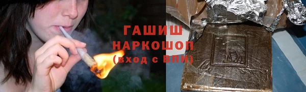 мдпв Гусь-Хрустальный