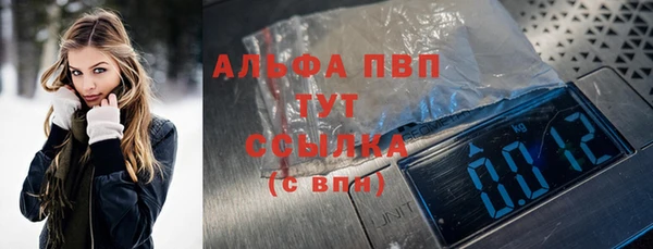 мдпв Гусь-Хрустальный