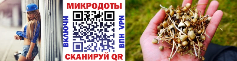 Купить закладки  Моршанск  Псилоцибиновые грибы MAGIC MUSHROOMS 