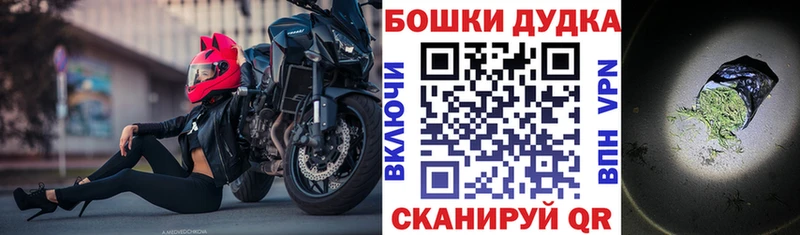 Бошки Шишки конопля  Купить закладки  Моршанск 